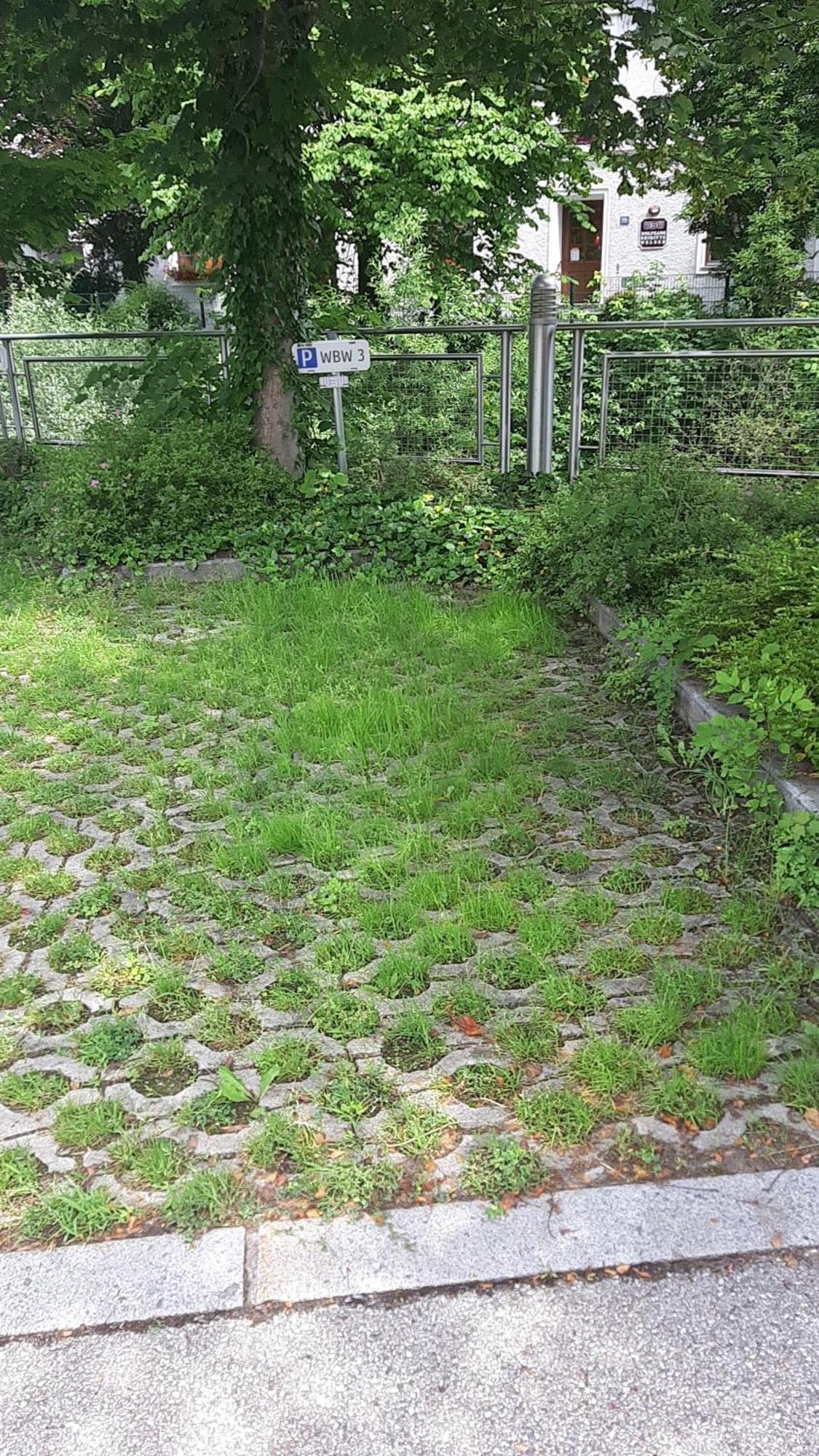 Apartment Welser Ybbsitz Buitenkant foto